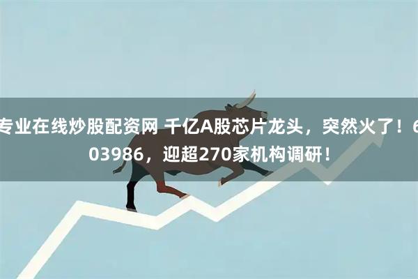 专业在线炒股配资网 千亿A股芯片龙头，突然火了！603986，迎超270家机构调研！