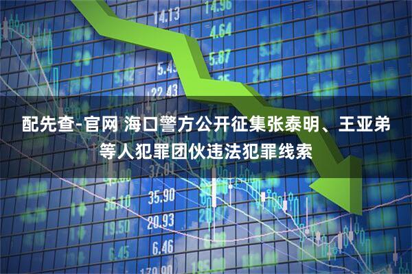 配先查-官网 海口警方公开征集张泰明、王亚弟等人犯罪团伙违法犯罪线索